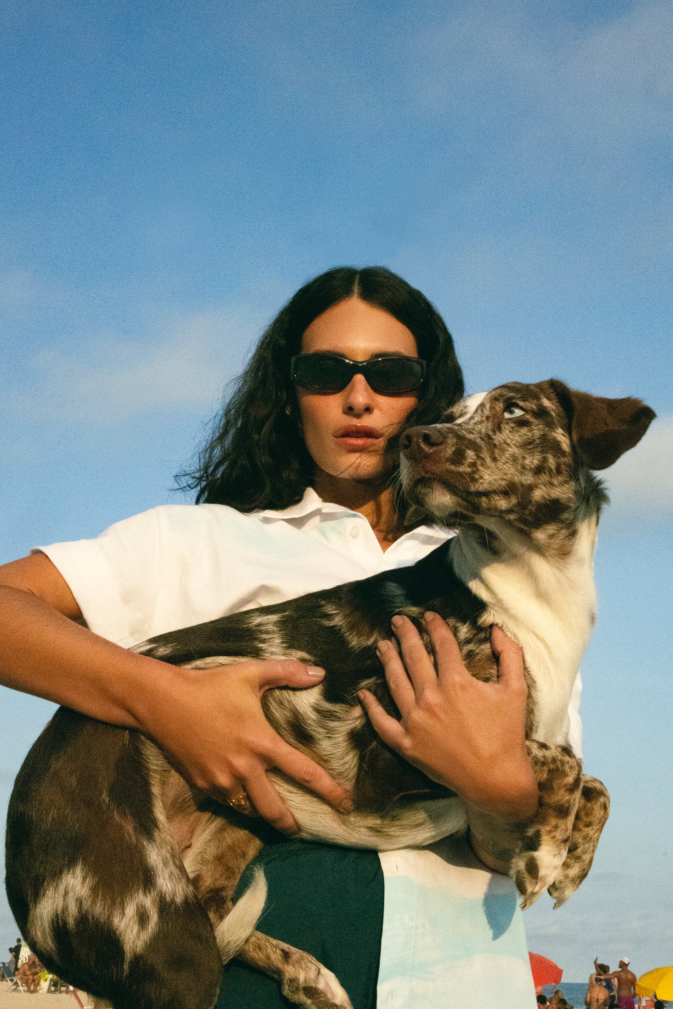 Óculos de Sol Carnan x Arnette Catfish