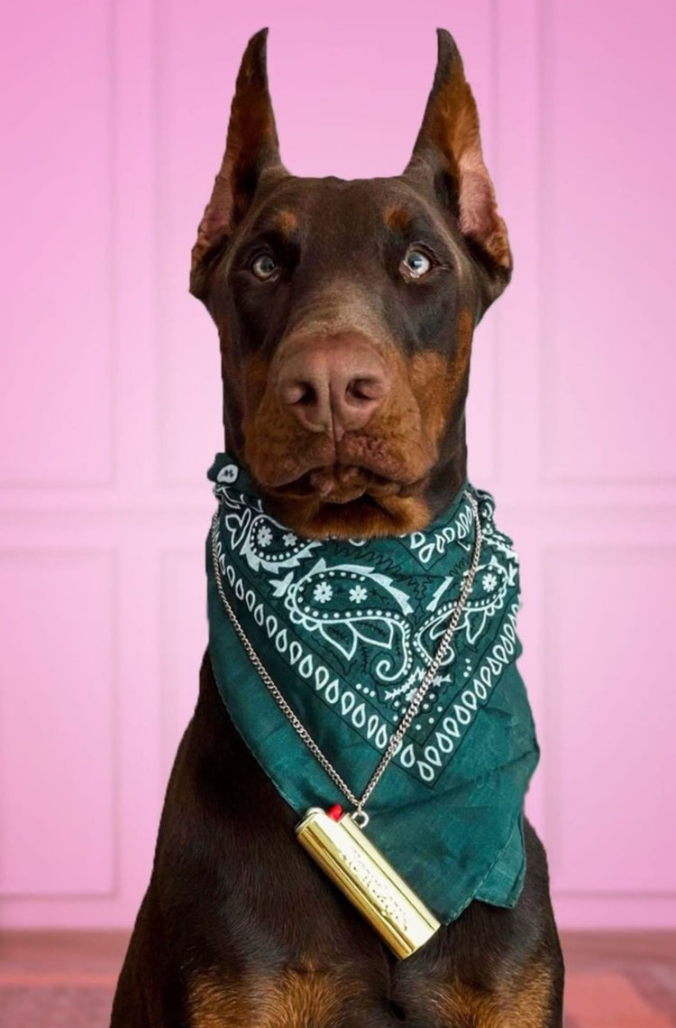 Porta Isqueiro Nowdays "El Fuego" Dourado