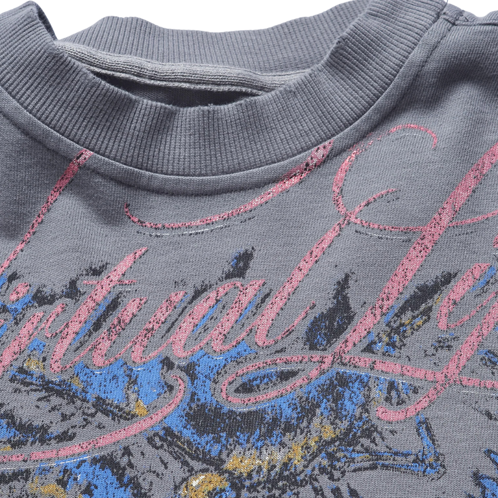 Camiseta Des Prezo Virtual Life Vintage Cinza