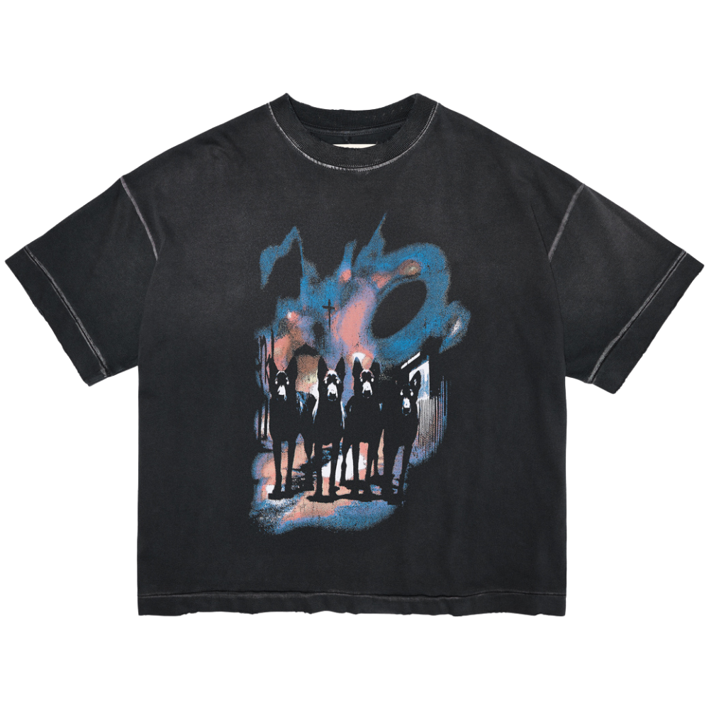 Camiseta Boxy Egho Dogtown