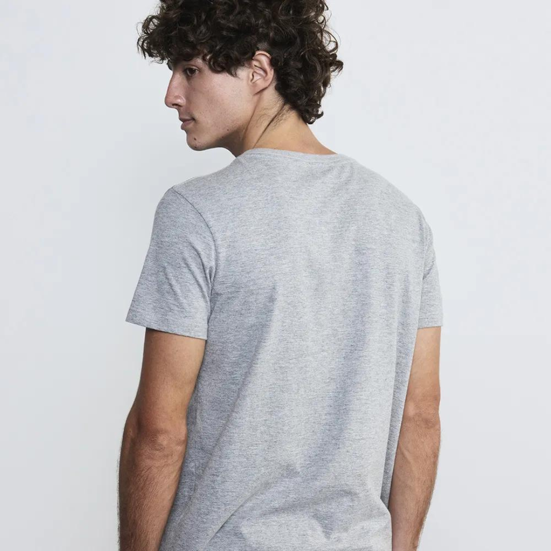 Camiseta Zee Dog Heritage Cinza