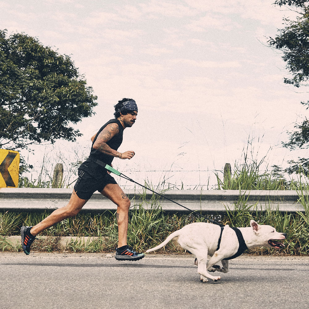 Running Belt zee dog