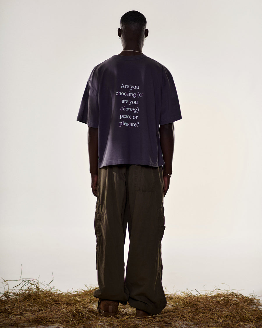 Camiseta Sow Peace or Pleasure Cinza