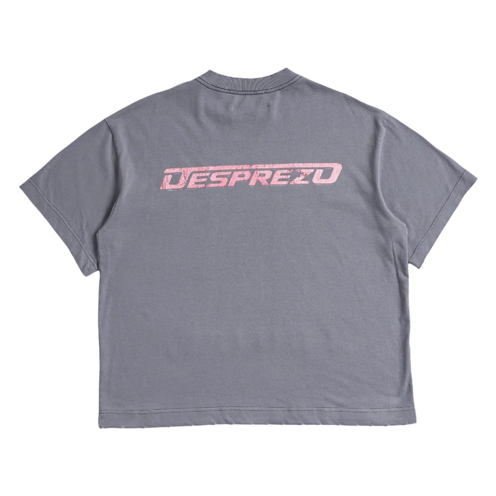 Camiseta Des Prezo Virtual Life Vintage Cinza