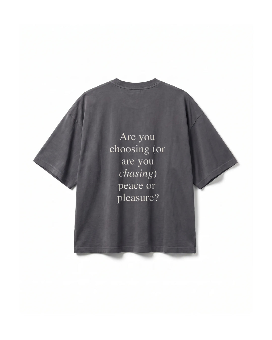 Camiseta Sow Peace or Pleasure Cinza